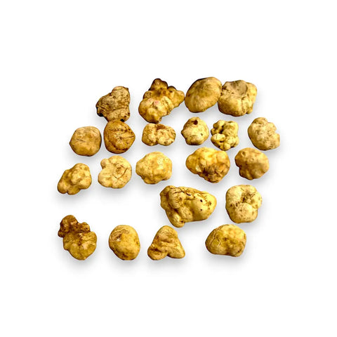 showing image of fresh white truffle tuber Magnatum c-grade