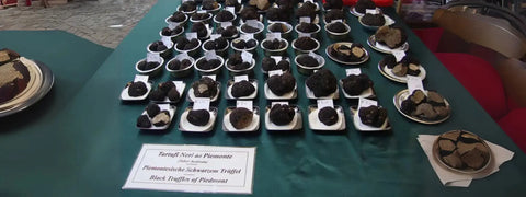 Display of black truffles highlighting the luxury of Terra Ross truffle business evolution