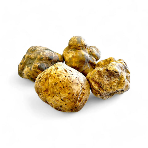 Actual fresh truffles in Season