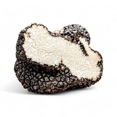 Black summer truffle slice showing white interior texture from Terra Ross Black Summer Truffle Collection