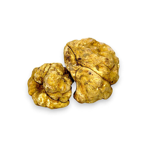 White Truffle Collection