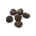 Fresh autumn truffle tuber uncinatum cluster with dark brown to black rough skin