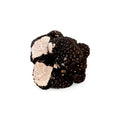 Black summer truffle with cut sections from Fresh Summer Truffle Tuber Aestivum C-grade