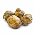 Fresh white Tuber Magnatum Pico truffle cluster with rough-textured golden mushrooms