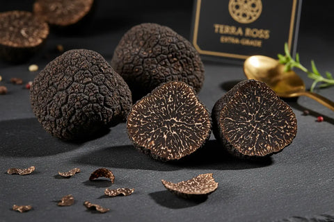 Fresh Black Truffle - Tuber Melanosporum (B-grade) - Terra Ross